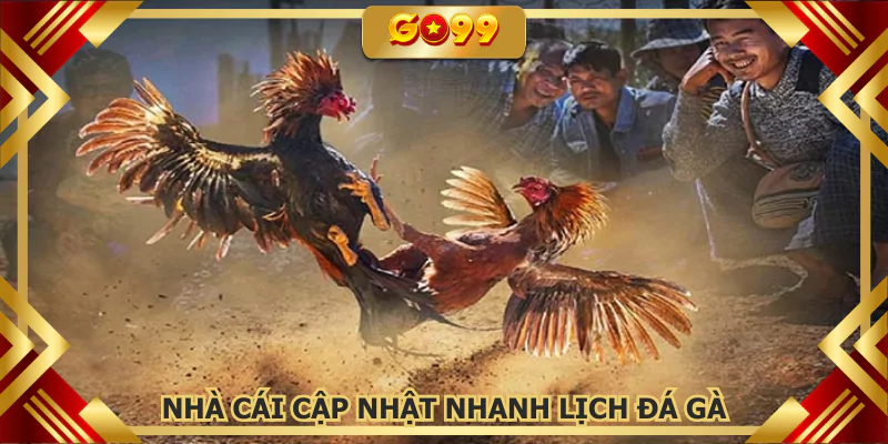 Nhà cái cập nhật nhanh lịch đá gà