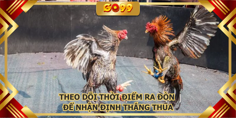 Theo dõi thời điểm ra đòn để nhận định thắng thua